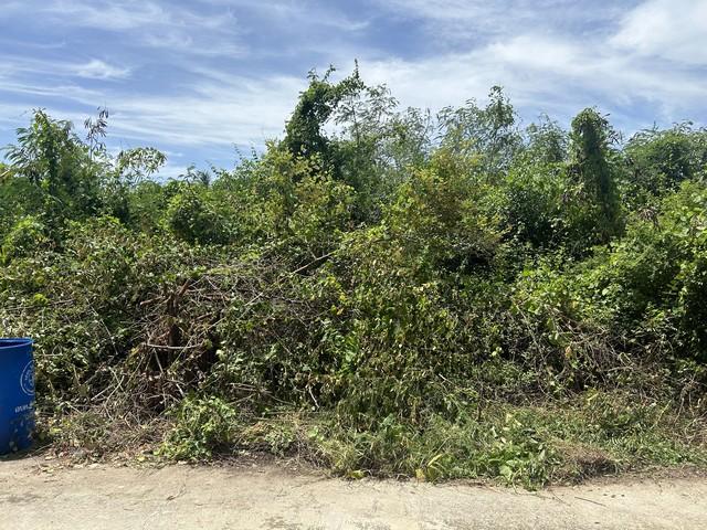 ��·��Թ ��ᾧ�ʹ��û��