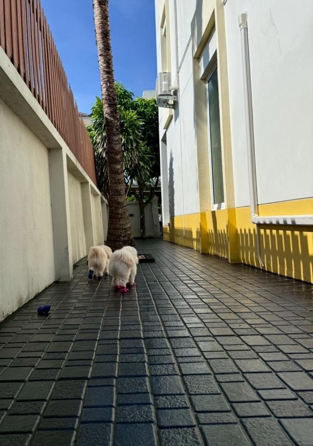 ��·�ǹ���� ������