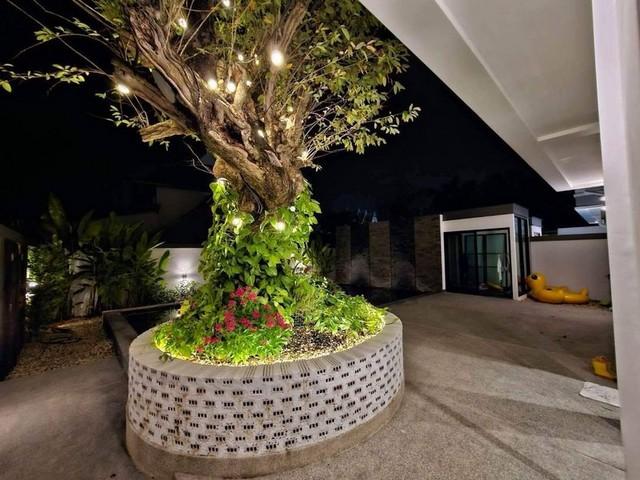 ��º�ҹ ���ͧ��§������§����