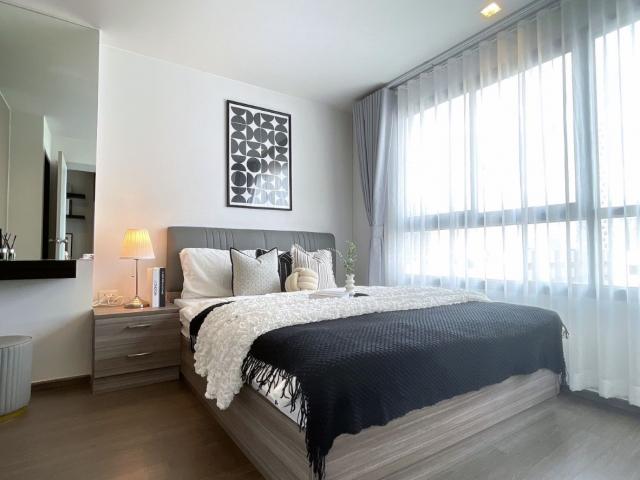 ��¤͹� ���⢹�