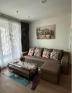 �͹���ͧ���ҧ