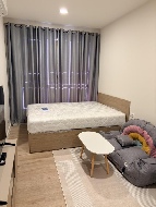 ��ǹ���������������