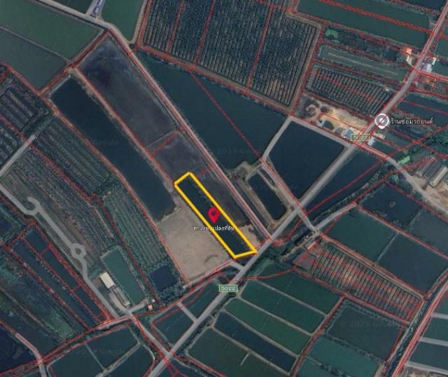 ���Թ ��û��