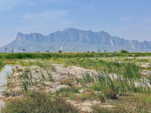 ��·��Թ ����ྪú���