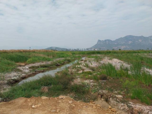 ��·��Թ ����ྪú���