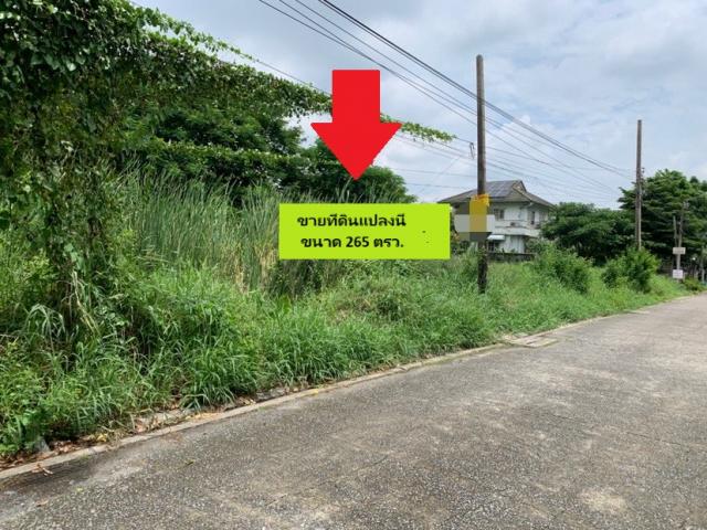 ���Թ ��ا෾