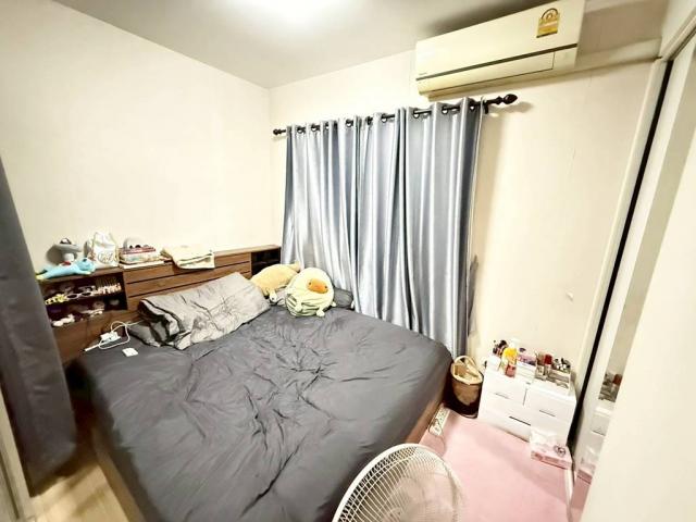 ��¤͹� �ҧ��Ƿͧ�������