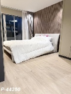 �͹���ͧ���ҧ