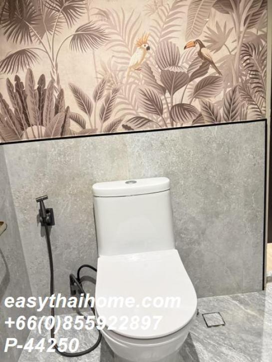 �͹������� �Ҫ��ա�ا෾