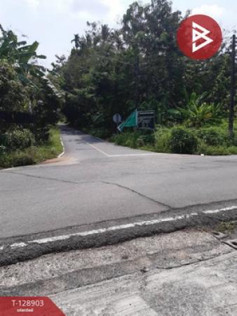 ���Թ ��鸹Ҥ��