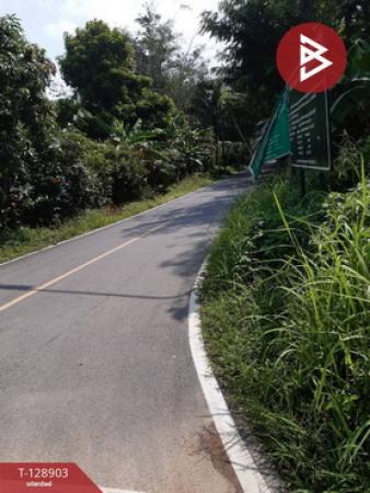 ��·��Թ ��������ͧ�ѧ��