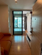 �͹ⴤ���͹���Ф���