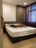 �͹� ����