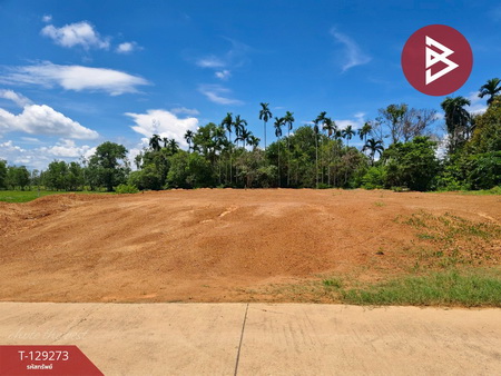 ���Թ ������