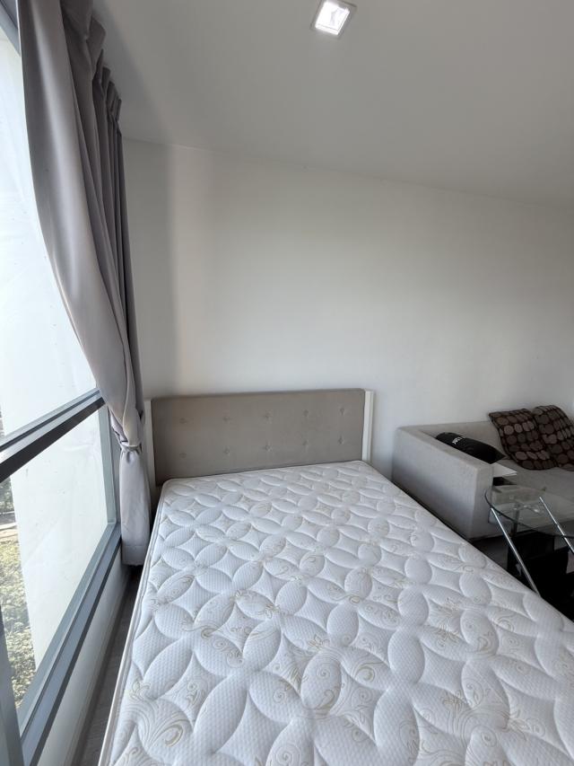 �͹� ���������