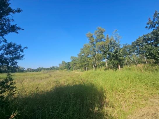 ���Թ ˹�ҡ��ҧ