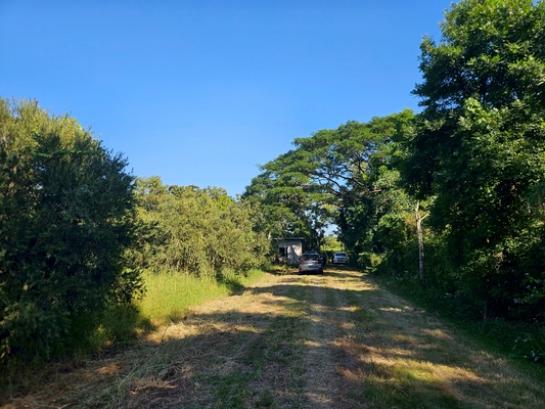 ���Թ������ ���١�һ����ҹ�