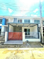 ��ǹ����������������