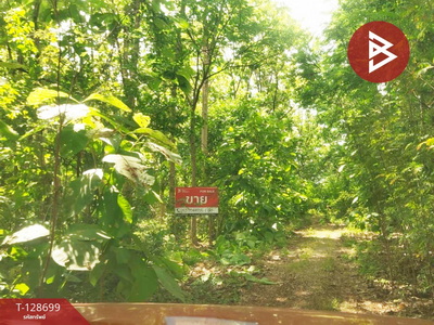 ���Թ ��鸹Ҥ��