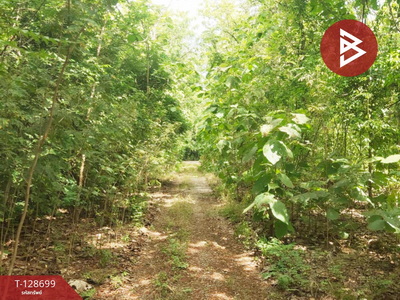 ��·��Թ �Ҥ�չ�����ä�