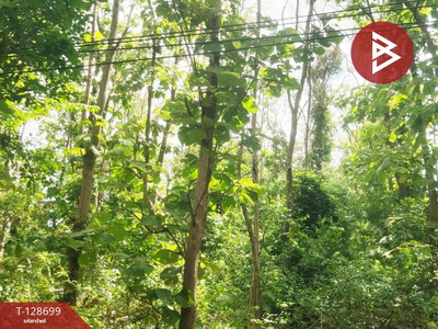 ��·��Թ �Ҥ�չ�����ä�