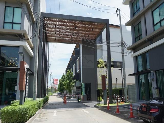 ����Ϳ���������