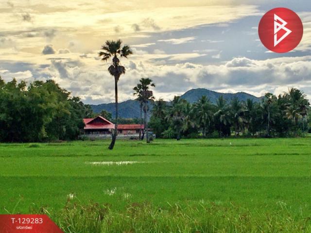 ���Թ ��鸹Ҥ��