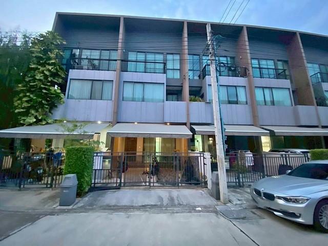 ��ǹ���� ������