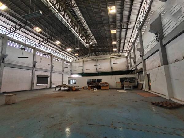 ⡴ѧ������ ���ͧ��ط��Ҥ���ط��Ҥ�