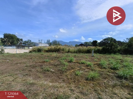 ��·��Թ ��ҹ�������ͧ