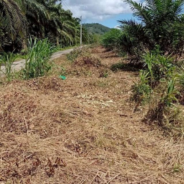 ���Թ ྪ����