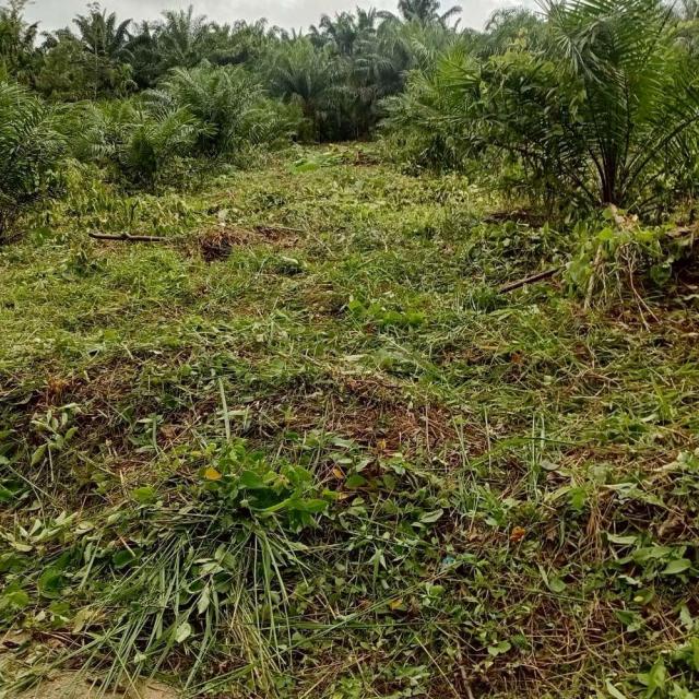 ��·��Թ ���ͧ�ѧ�Ҿѧ��