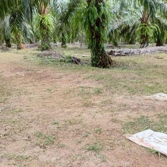 ��·��Թ ���ͧ�ѧ�Ҿѧ��