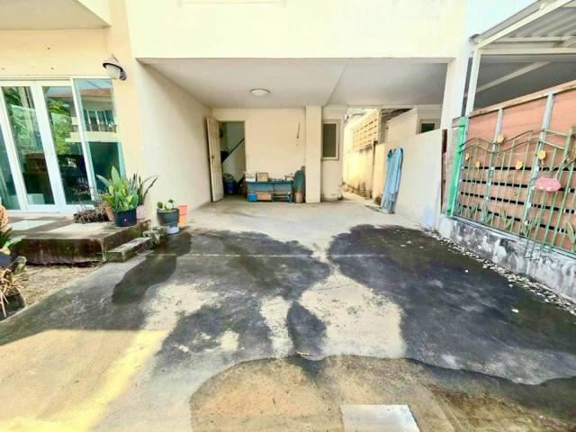 ��º�ҹ �ҧ��Ƿͧ�������