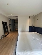 �͹� 61 ���ҧ����