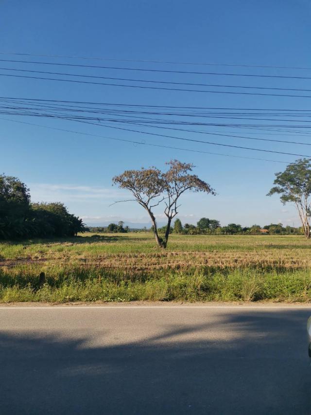 ��º�ҹ ��������§����