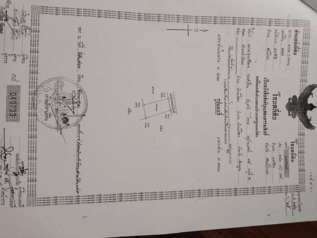 ��º�ҹ ��������§����