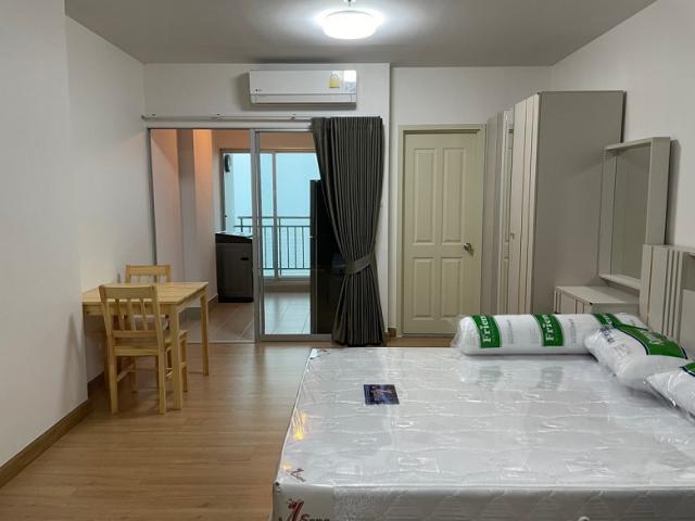 �͹������� ���ͧ������չ������