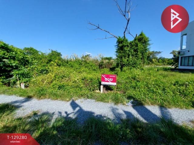 ���Թ ��鸹Ҥ��