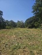 ���Թ����͹���Ф���