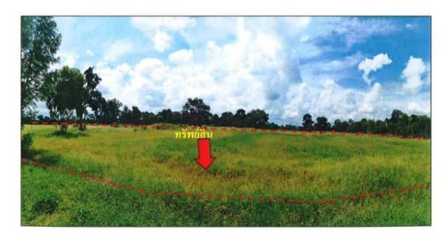 ��·��Թ ���ͧ��ط�ʧ������ط�ʧ����