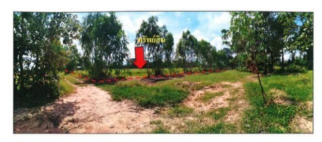 ��·��Թ ���ͧ��ط�ʧ������ط�ʧ����