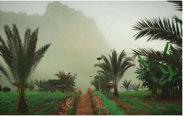 ���Թ���ʹ���Թ ��§����