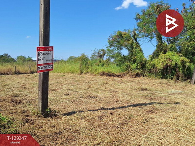 ���Թ ������