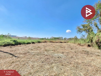 ��·��Թ �ѭ���ջ����ҹ�