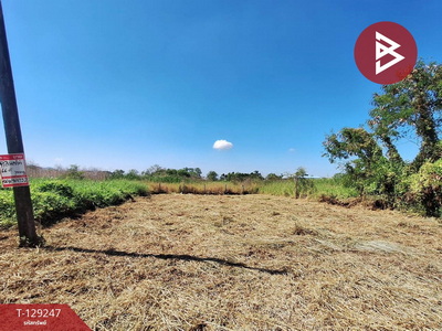 ��·��Թ �ѭ���ջ����ҹ�