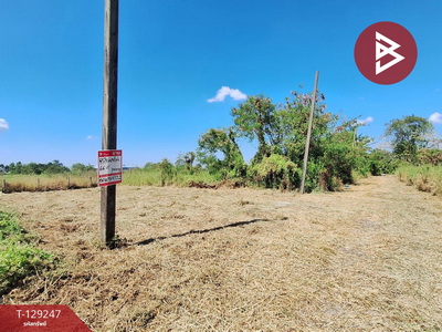 ��·��Թ �ѭ���ջ����ҹ�