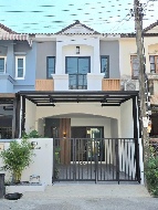 ��ǹ�������������