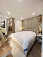 �͹ⴵ������