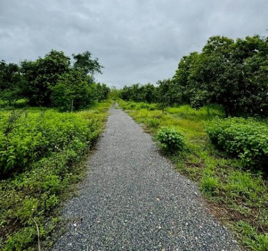 ��·��Թ ���������§����